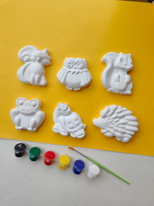 DIY Concrete - Animals Coloring Kit