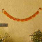 Sanskriti Toran